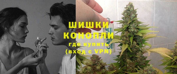 мдпв Коряжма