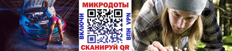 Купить где  Весьегонск  Псилоцибиновые грибы Psilocybine cubensis 